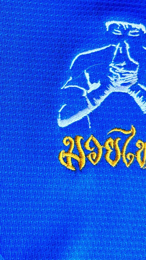 Muay Thai T-Shirt Quick Dry Lightweight Breathable Sport Tshirt, ST222